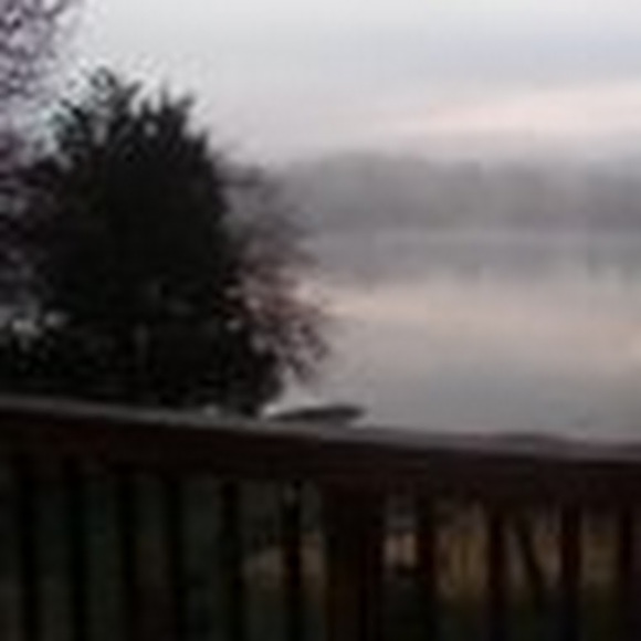 Meet your Posher, Stormy - Picture 1 of 1